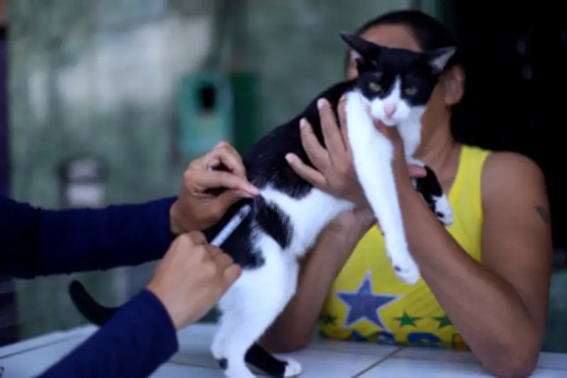 Praça Amiga dos Animais oferece serviços gratuitos em Belém