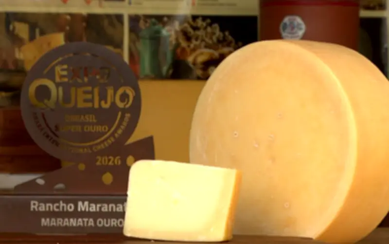 Queijo da Serra da Mantiqueira vence principal prêmio da ExpoQueijo Brasil