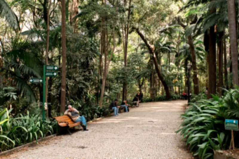 Restaurante no Parque Trianon divide opiniões e exige corte de 4 árvores em SP