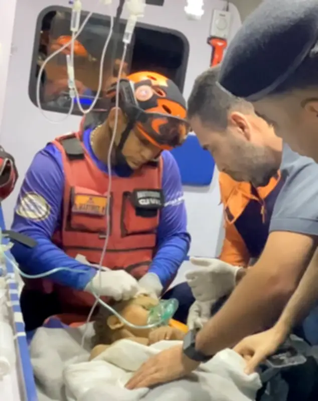 Sobrevivente de 3 anos é resgatada dos escombros na Venezuela após 6 dias