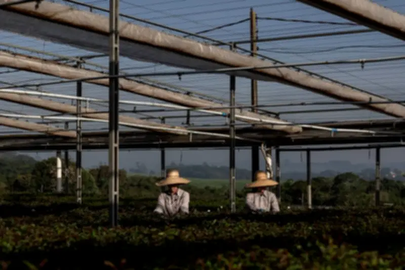 Suzano conclui compra de 51% da Arbex por US$ 1,3 bilhão