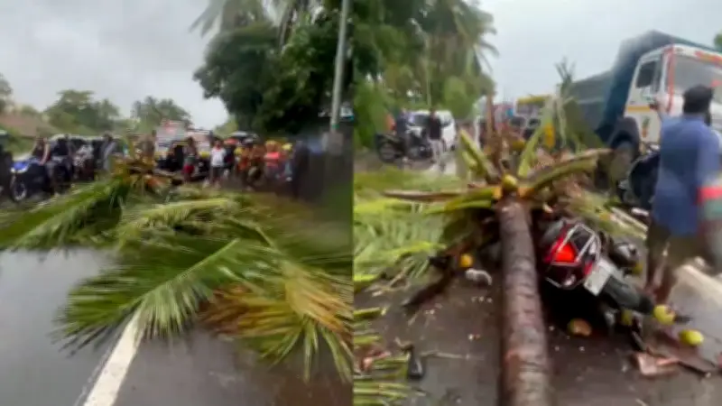 Temporal na Índia: coqueiro cai sobre moto e mata filho de ex-vice-prefeito