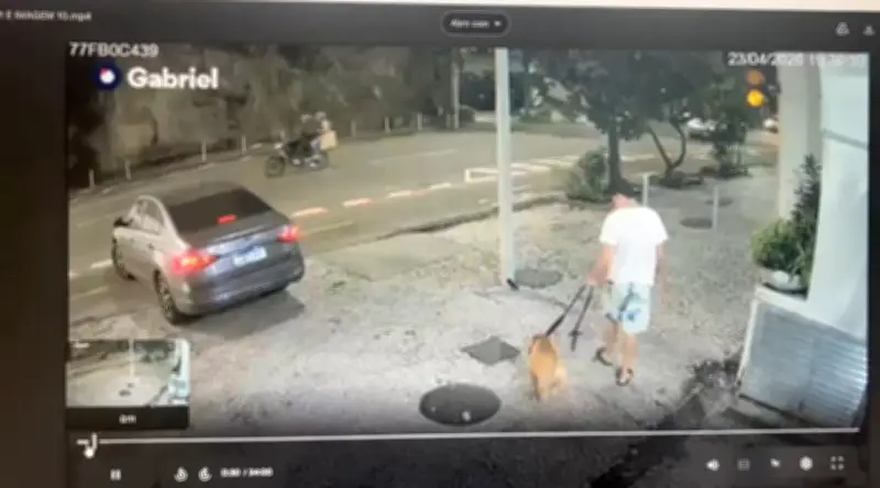 Tutor é denunciado por afogar cachorro no mar em Copacabana