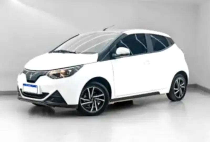 Vendas dos elétricos mais baratos do Brasil são suspensas