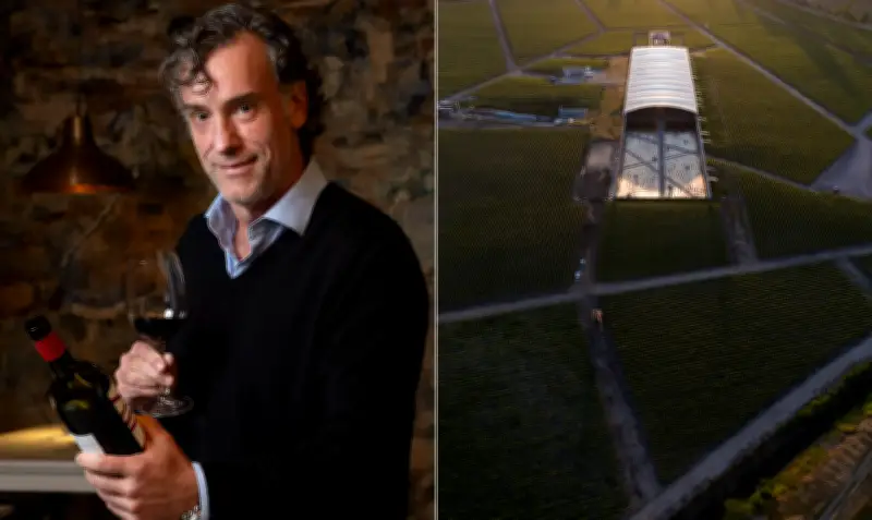 Vik inova com primeiro vinho branco e planeja expansão no Brasil