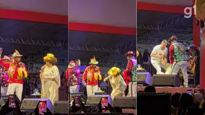 Alcione cai durante show em São Luís e continua apresentação