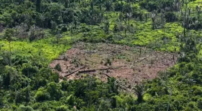 Câmara aprova anistia a crime ambiental de pequeno produtor rural