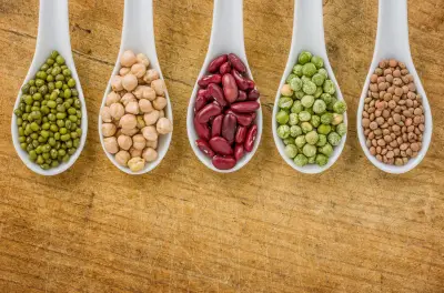 Melhores fontes de proteína: leguminosas, oleaginosas e carnes