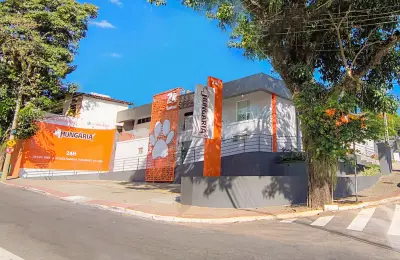 Mercado pet impulsiona clínicas veterinárias com especialização e humanização