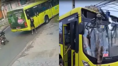 Ônibus bate em poste durante assalto na Estrada da Mata em São Luís