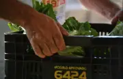 1ª Feira da Reforma Agrária Lourival Soares acontece em Uberlândia