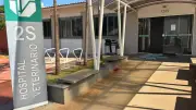 14 cães envenenados com chumbinho em Tapira são investigados pela PM