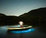 Bioluminescência na Lagoa de Piratininga encanta e preocupa pescadores