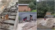 Cachorro preso em ponte de madeira é resgatado com motosserra em SC