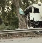 Caminhão com gás bate em árvore após colisão na Via Dutra em Barra Mansa