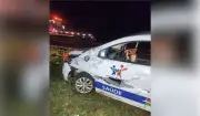 Capivara invade pista e causa acidente com carro da Prefeitura de Piquerobi