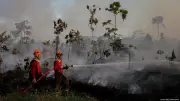 El Niño forte: OMM alerta para extremos climáticos no Brasil e no mundo