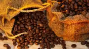 El Niño pode encarecer café, milho, carne e frutas no Brasil