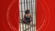 Estudante de Medicina mata idoso ao invadir casa com carro em Porto Velho