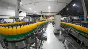Expo+Indústria 2026 em Curitiba foca em produtividade e inovação