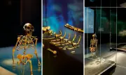 Fóssil Lucy de 3,2 milhões de anos chega a Abu Dhabi em exposição histórica