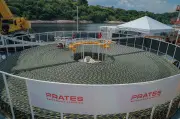 Infovia 04: nova rota de internet amplia capacidade em Roraima