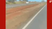 Motorista embriagado preso após dirigir na contramão e bater em carreta na BR-364