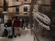 Museu Nacional atrai 10 mil visitantes com réplica de dinossauro