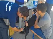 Natal inicia campanha de vacinação antirrábica para cães e gatos em 2026