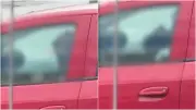 Padrasto preso por agredir enteado com celular e puxão de cabelo em SC
