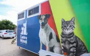Petrolina realiza mutirão de castração gratuita de cães e gatos