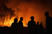 Portugal em alerta: calor de 40°C e risco de incêndios por três dias