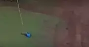 Rope Jump: menino ferido antes de morte de Maria Eduarda; indiciada