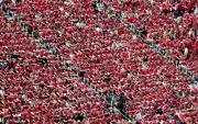 Toada do boi Garantido 'Pode Remar' viraliza na Copa e agita torcida brasileira
