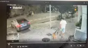 Tutor é denunciado por afogar cachorro no mar em Copacabana